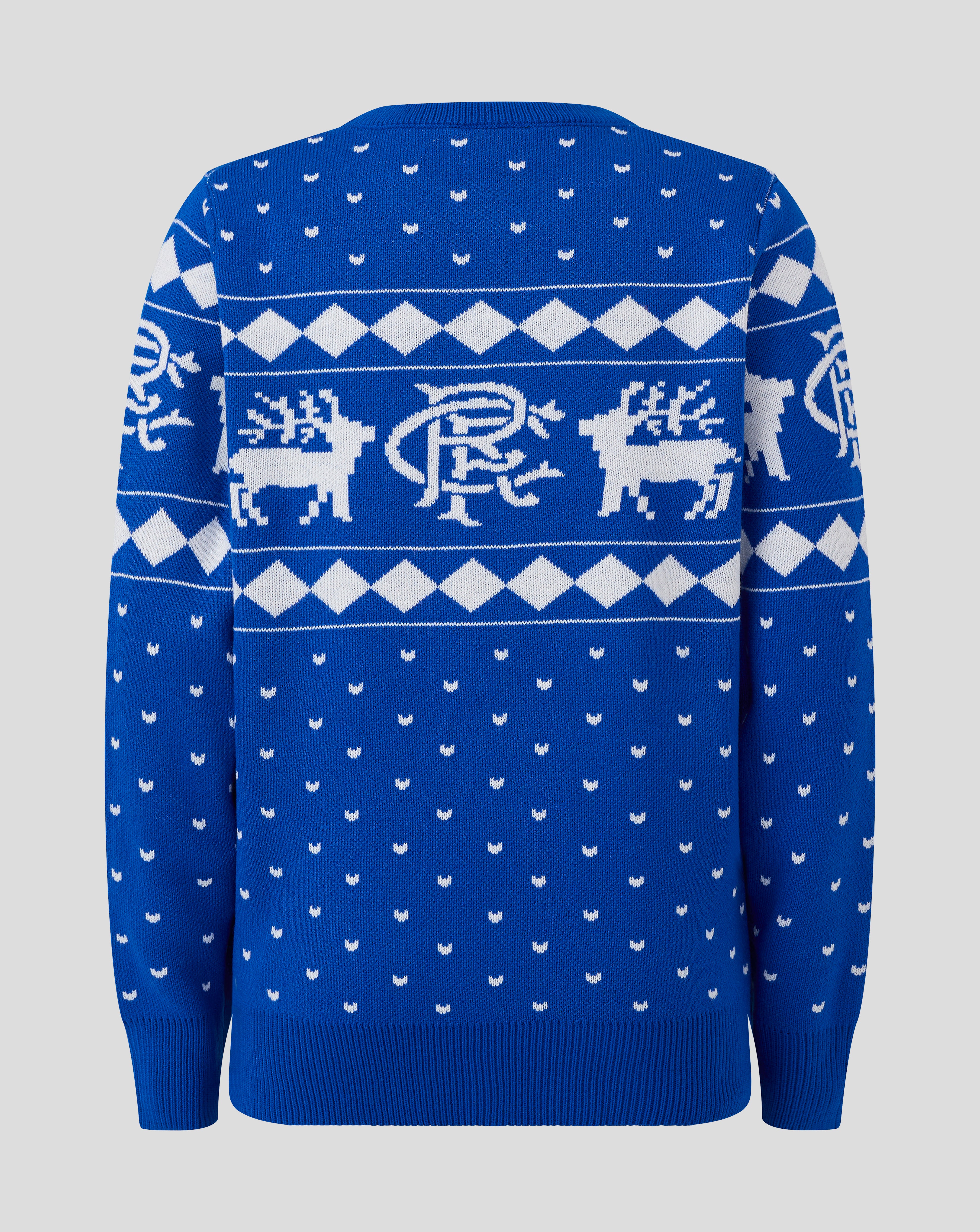 JUNIOR 25/26 CHRISTMAS JUMPER