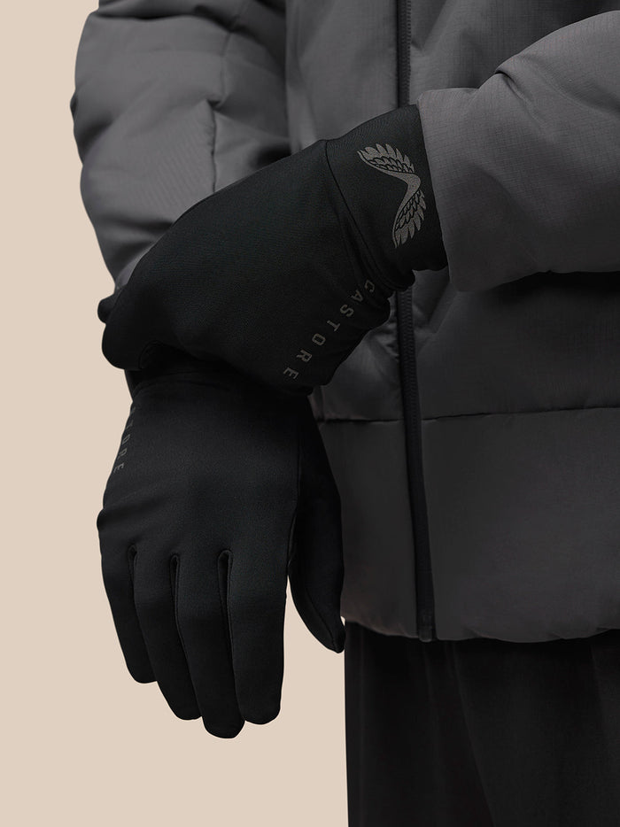 Glove worn on a gray jacket sleeve with silver wing emblem at the cuff
