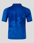 Back view of a blue unisex retro 2002-03 home shirt with a dotted gradient pattern and red trim at the neck.