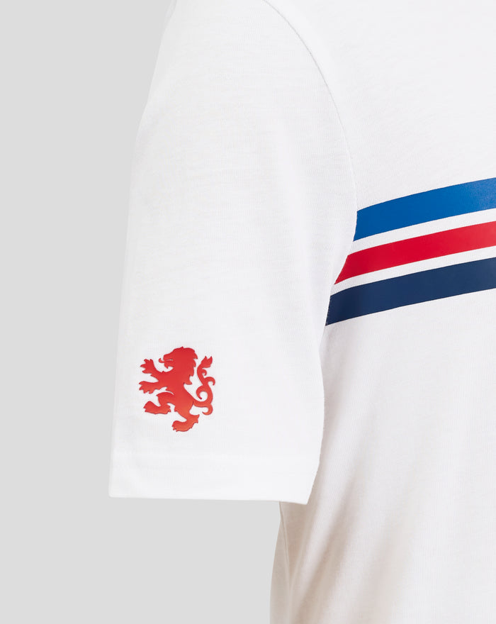 Close up of white cotton T shirt showing neckline and partial blue stripe along the chest