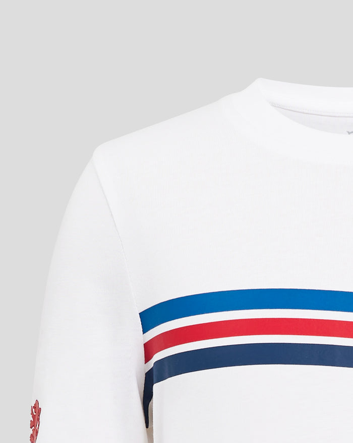 White cotton T shirt with large horizontal blue red white stripe bands across the chest and a red lion emblem at the lower left