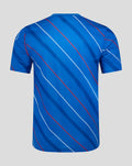 Back view of blue home jersey with diagonal white and red stripes.