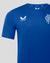 Mens 23/24 Limited Edition Training T-Shirt - Blue
