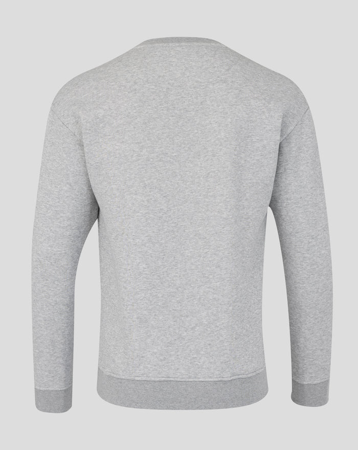 Back view of heather gray unisex coordinates crew sweatshirt