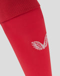 Unisex 24/25 Away Goalkeeper Sock